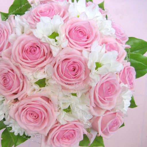 Hd-149206-ascw149206