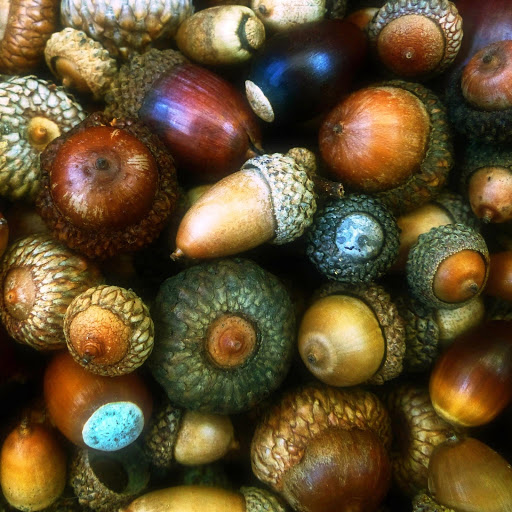 Hd-152325-ascw152325