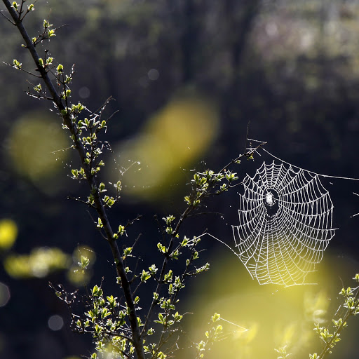 Hd-168748-ascw168748