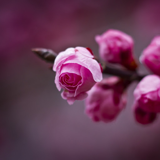 Hd-163648-ascw163648