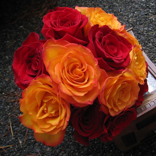 Hd-157402-ascw157402