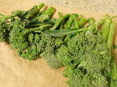 Broccoli Crunch 1