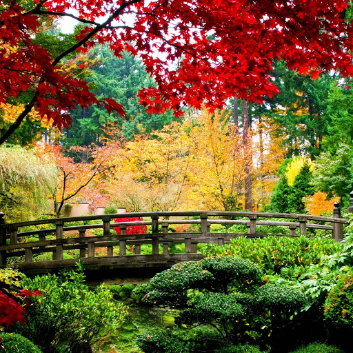 Hd-164729-ascw164729