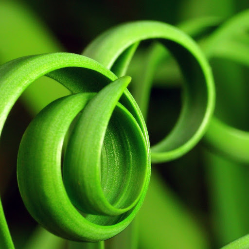 Hd-140701-ascw140701