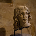 IMG_4147.jpg