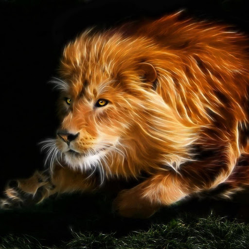 Hd-170964-ascw170964