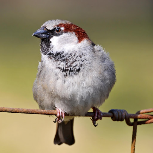 Hd-182224-ascw182224