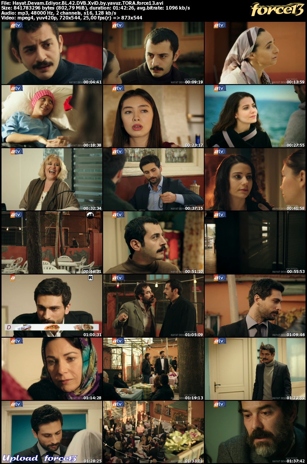 Hayat Devam Ediyor BL 42 DVB XviD by yavuz TORA force13