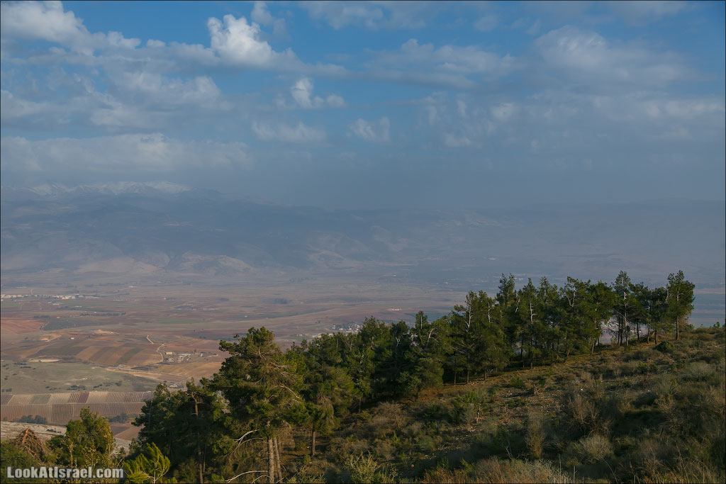 LookAtIsrael.com: Израиль в стиле Шишкина (israel  шарон и шфела природа мертвое море голанские высоты галилея )