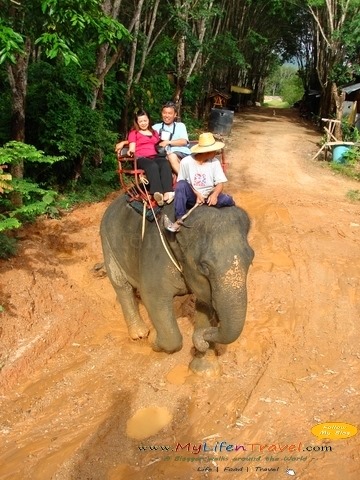 [Phuket-Rida-Elephant-243.jpg]