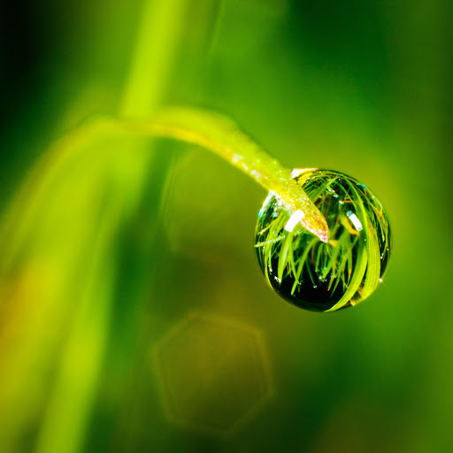 Hd-155921-ascw155921