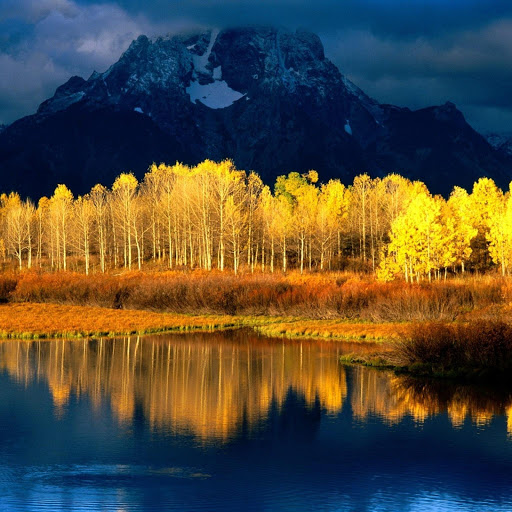 Hd-135384-ascw135384