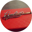 Image Google de Amelia Araujo