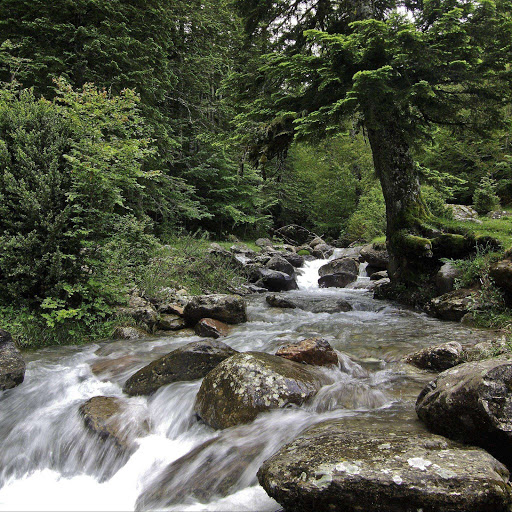 Hd-164684-ascw164684