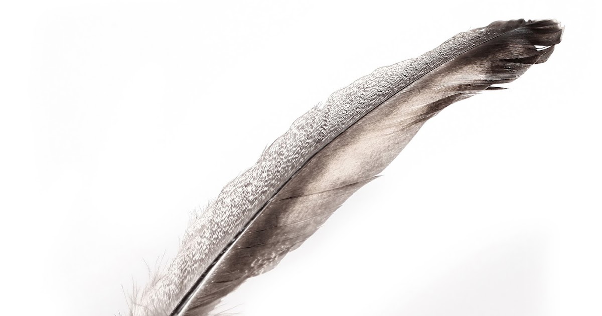 Simpler Times Making Your Own Quill Pen and Black Walnut Ink