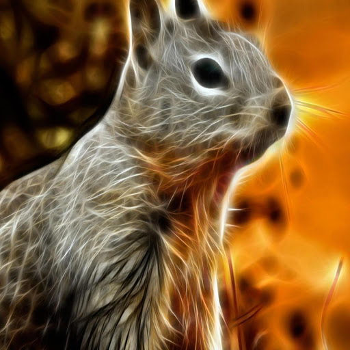 Hd-170073-ascw170073