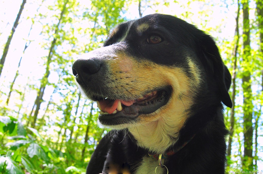 [DSC_0019%255B8%255D.jpg]