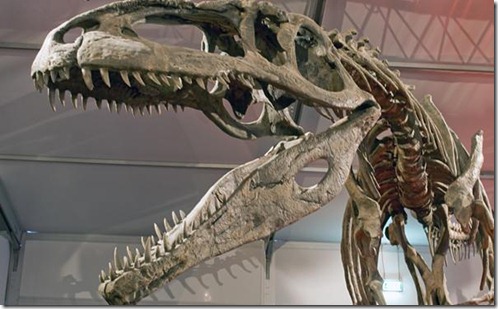 fosilesdinosaurios02