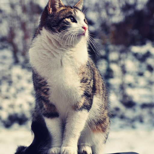 Hd-178901-ascw178901