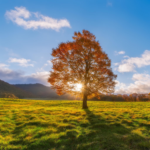 Hd-158914-ascw158914