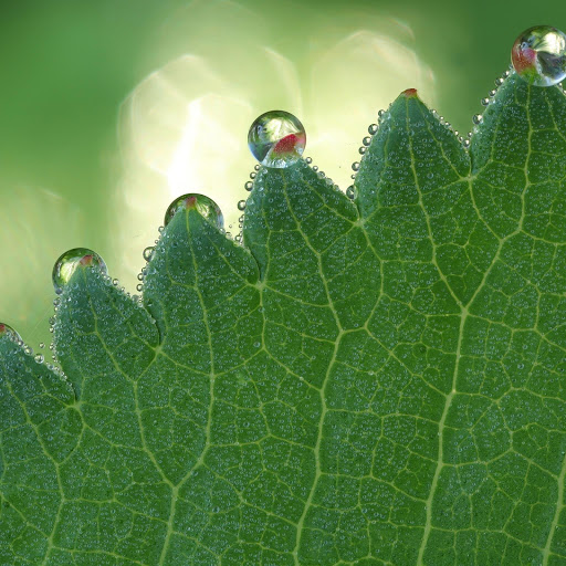 Hd-165206-ascw165206