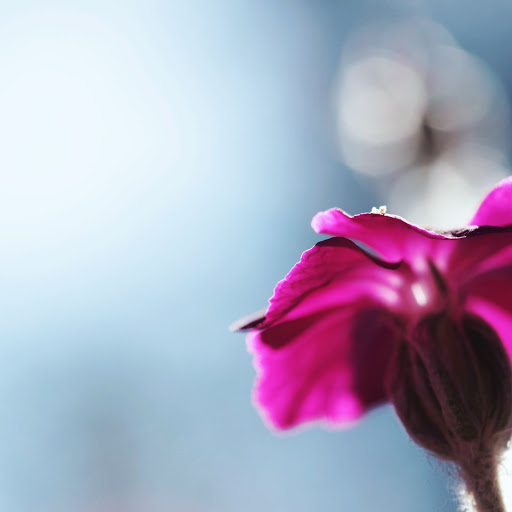 Hd-141603-ascw141603