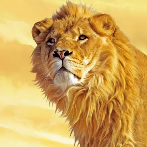 Hd-170417-ascw170417