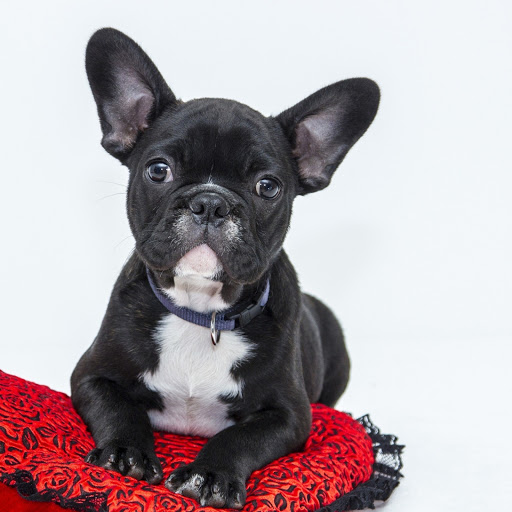 Hd-183927-ascw183927