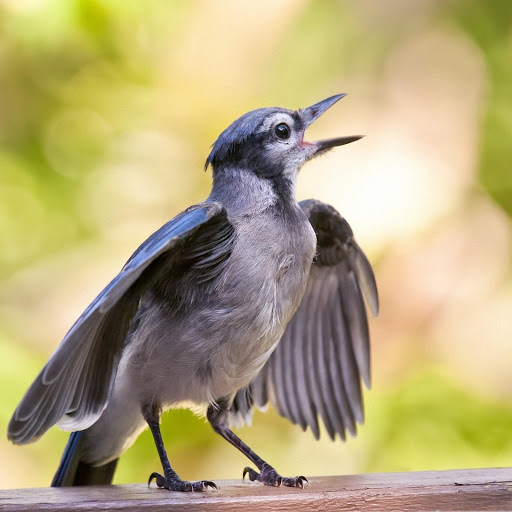 Hd-181311-ascw181311