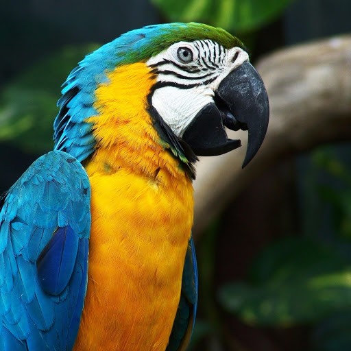 Hd-173879-ascw173879