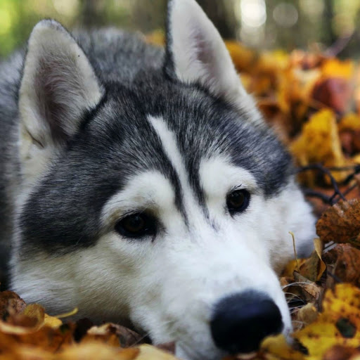 Hd-147816-ascw147816