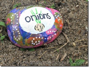 garden marker onions