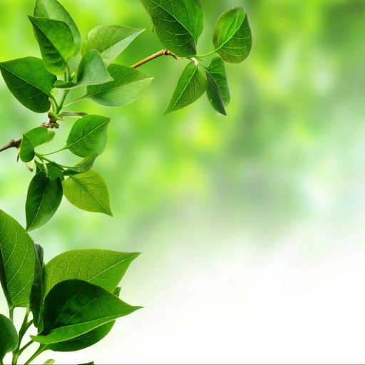 Hd-142055-ascw142055