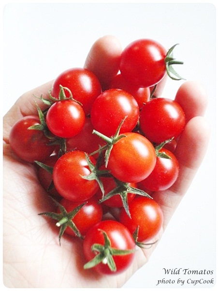 tomato (9)