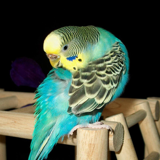 Hd-178033-ascw178033