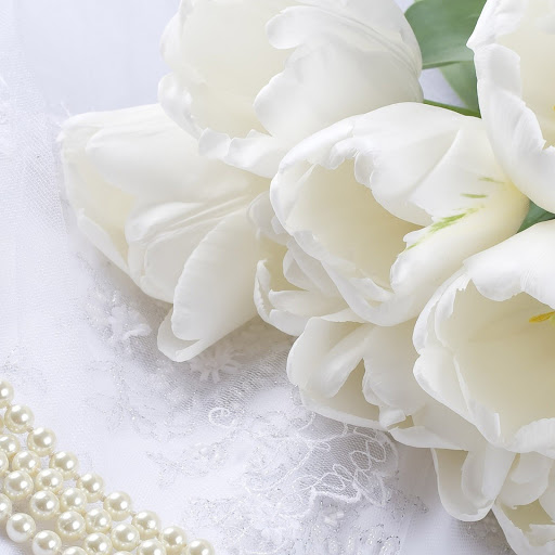 Hd-146556-ascw146556