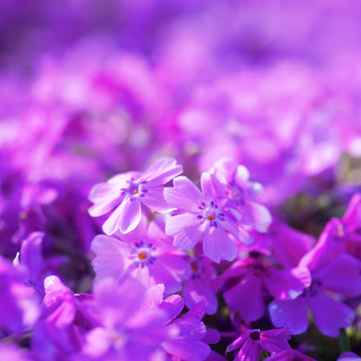 Hd-142219-ascw142219