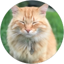 maxden44 . profile picture