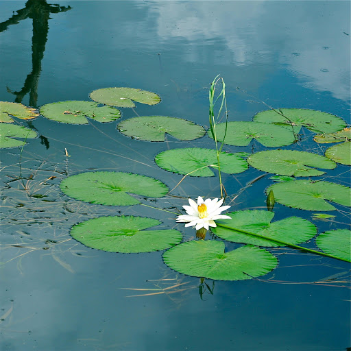 Hd-163922-ascw163922