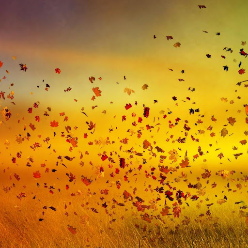 Hd-162701-ascw162701