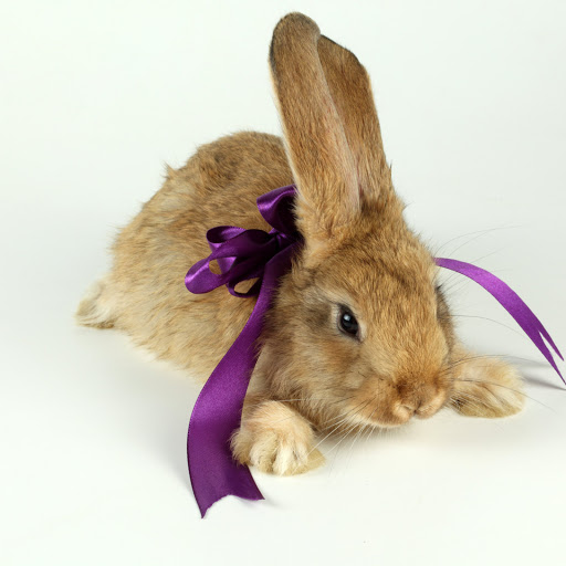 Hd-182599-ascw182599