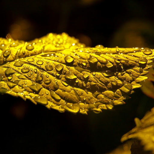 Hd-179896-ascw179896