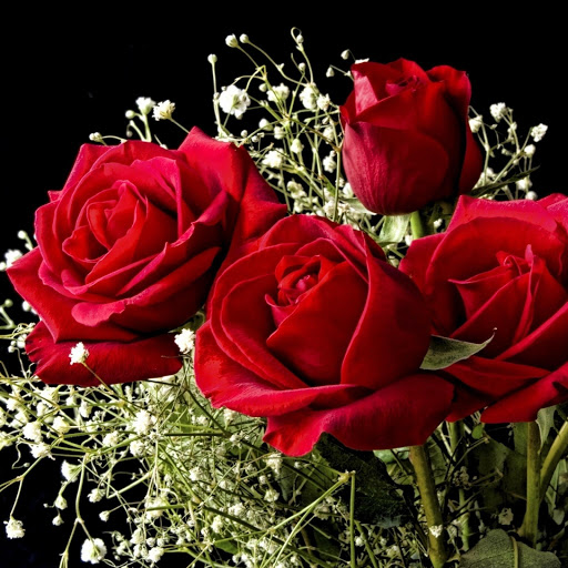 Hd-177582-ascw177582