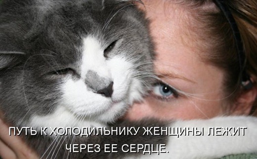 [1264940304_29%255B3%255D.jpg]