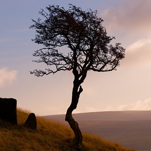 Hd-146057-ascw146057