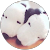 suzu berry suzu berry