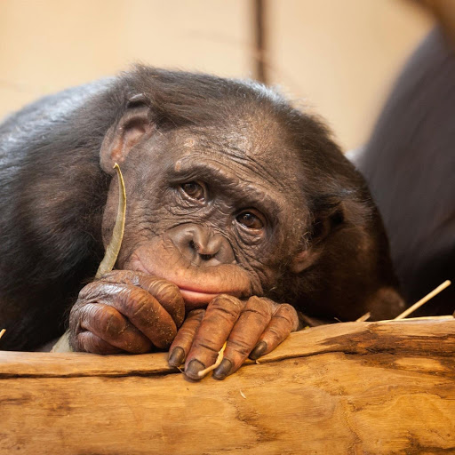 Hd-166521-ascw166521