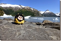 Bumble is looking at all of the icebergs that have calved off of Portage Glacier into Portage Lake