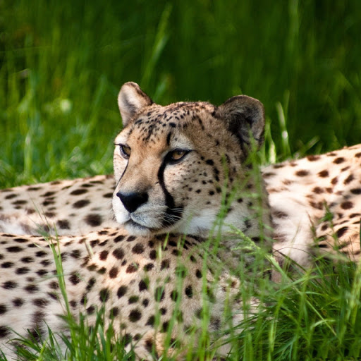 Hd-133391-ascw133391