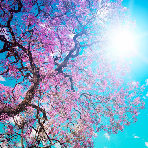 Hd-181927-ascw181927